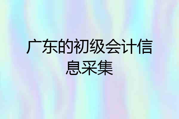 广东的初级会计信息采集