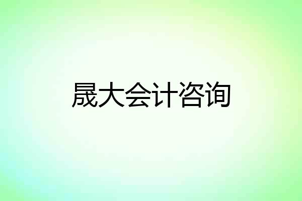 晟大会计咨询