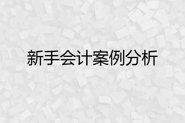 新手会计案例分析