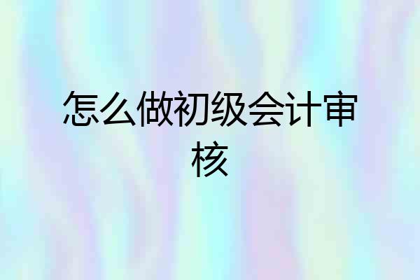 怎么做初级会计审核