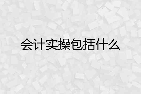 会计实操包括什么
