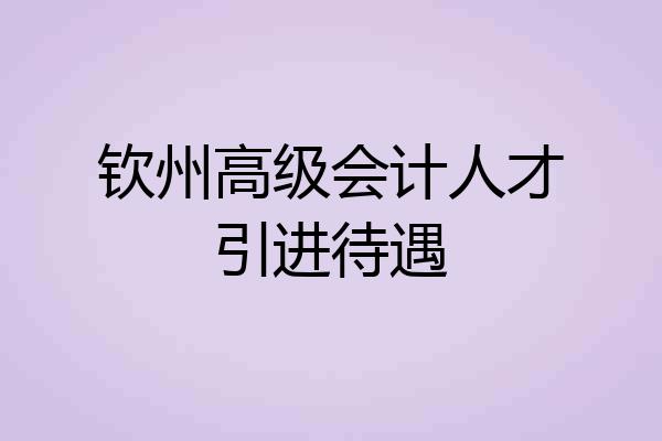 钦州高级会计人才引进待遇