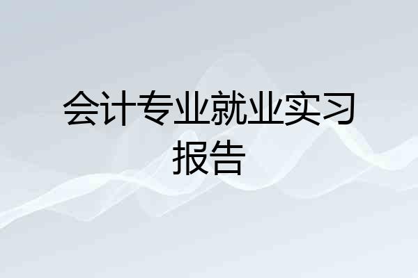 会计专业就业实习报告