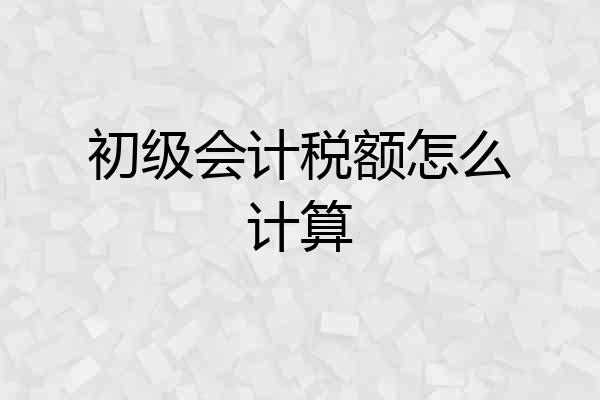 初级会计税额怎么计算