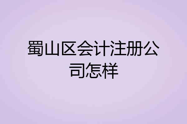 蜀山区会计注册公司怎样