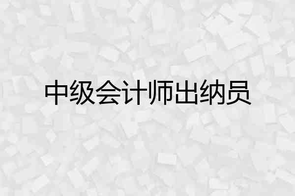 中级会计师出纳员