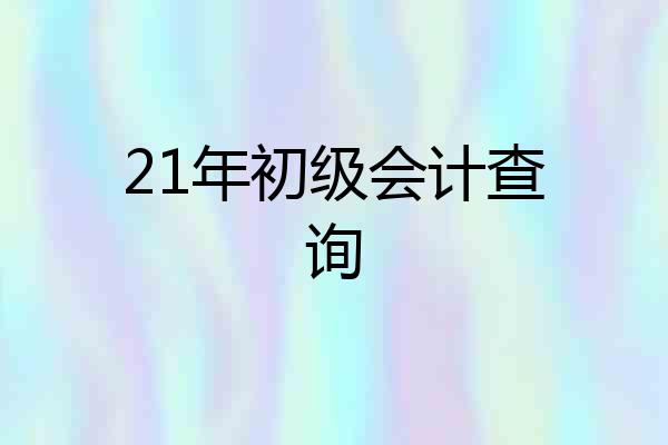 21年初级会计查询