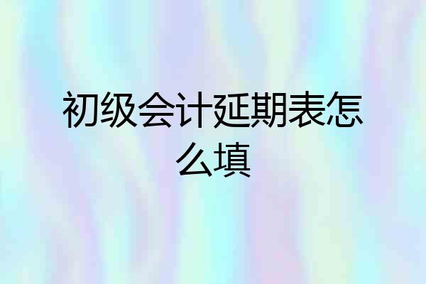 初级会计延期表怎么填