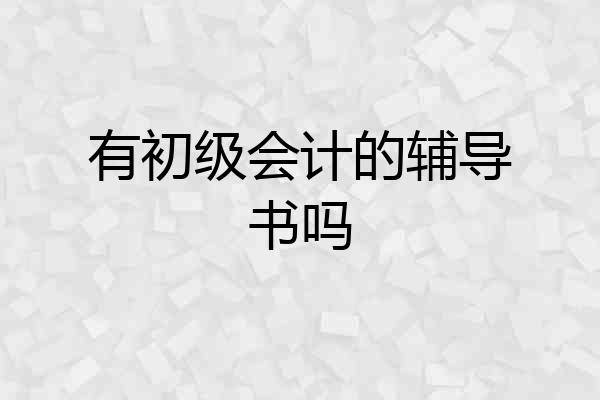 有初级会计的辅导书吗