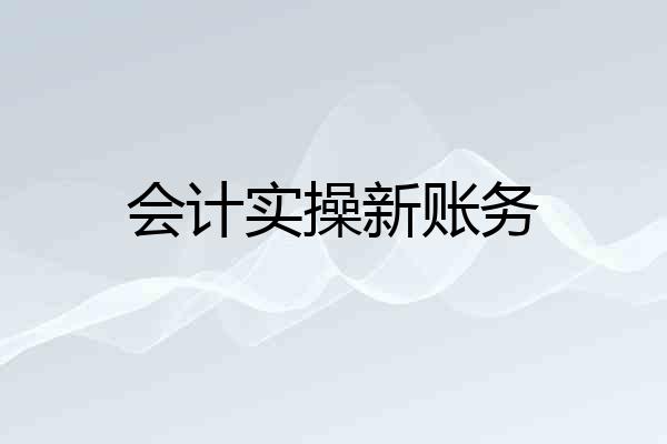 会计实操新账务