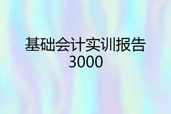 基础会计实训报告3000
