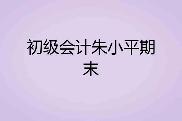 初级会计朱小平期末