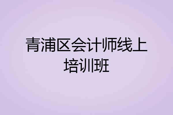 青浦区会计师线上培训班