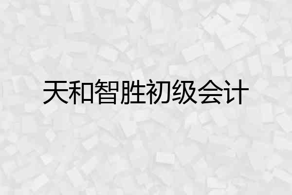 天和智胜初级会计