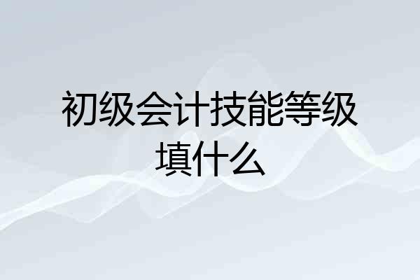 初级会计技能等级填什么