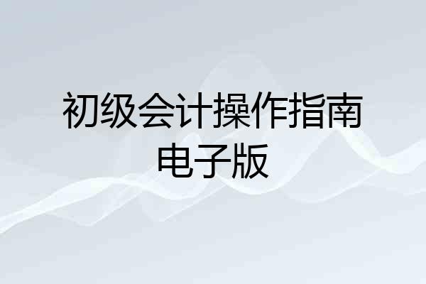 初级会计操作指南电子版