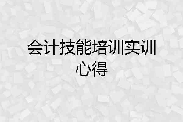 会计技能培训实训心得