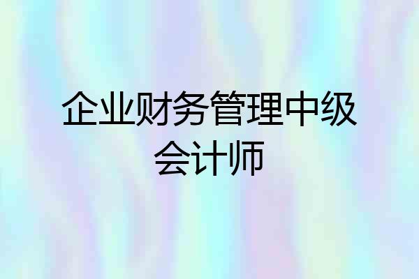 企业财务管理中级会计师