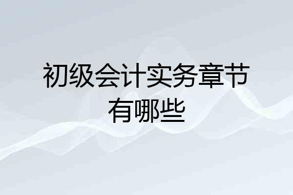 初级会计实务章节有哪些