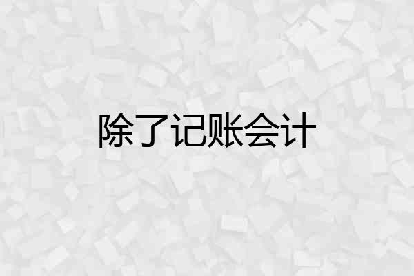 除了记账会计