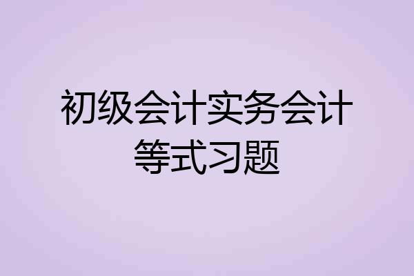 初级会计实务会计等式习题