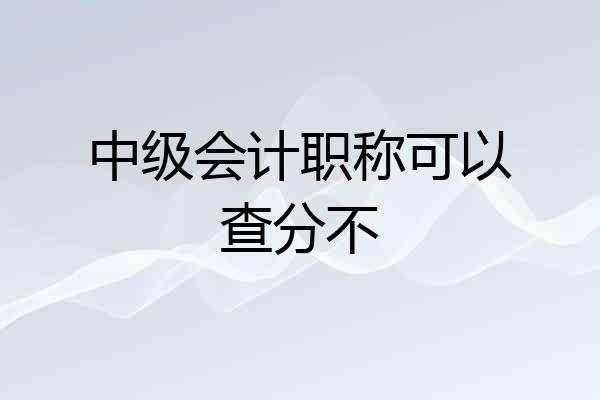 中级会计职称可以查分不