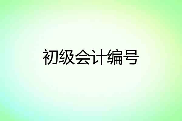 初级会计编号