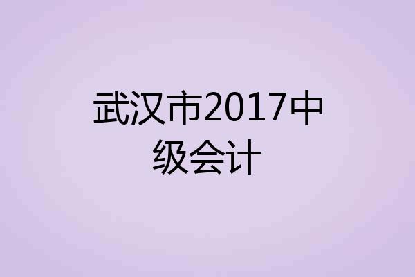 武汉市2017中级会计
