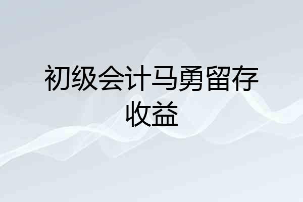 初级会计马勇留存收益