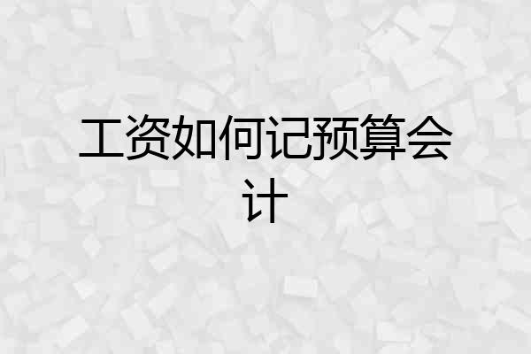 工资如何记预算会计