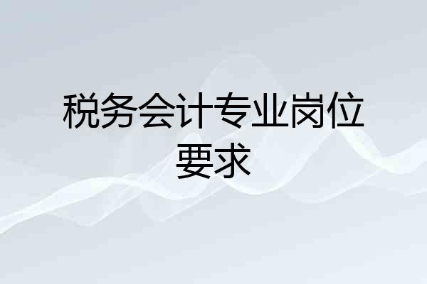 税务会计专业岗位要求