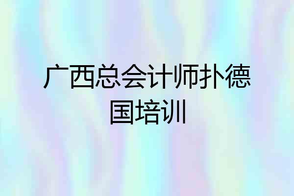 广西总会计师扑德国培训