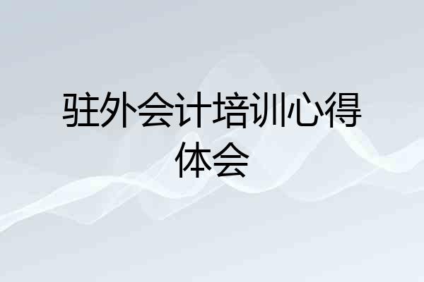 驻外会计培训心得体会