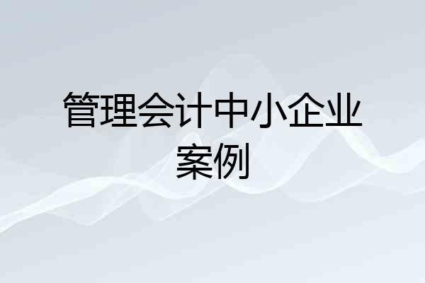 管理会计中小企业案例