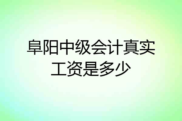 阜阳中级会计真实工资是多少