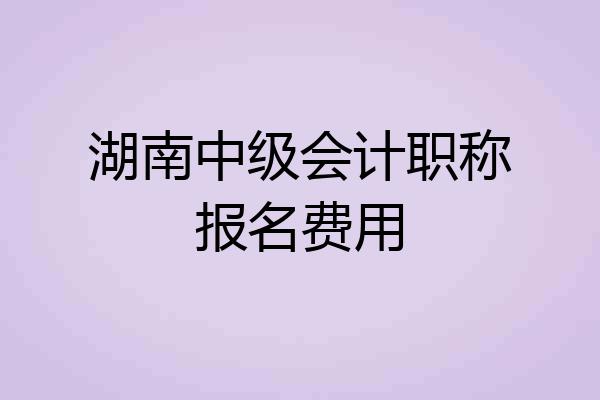湖南中级会计职称报名费用