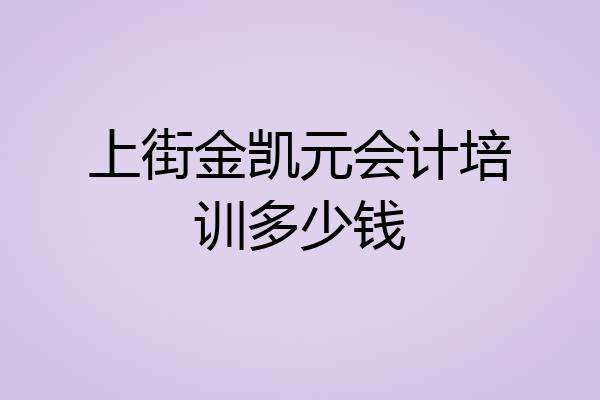 上街金凯元会计培训多少钱