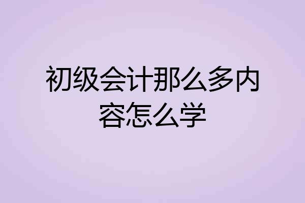 初级会计那么多内容怎么学