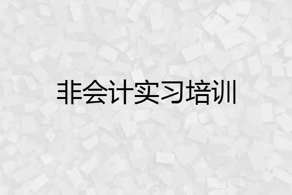 非会计实习培训