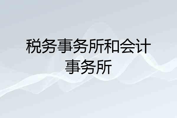 税务事务所和会计事务所