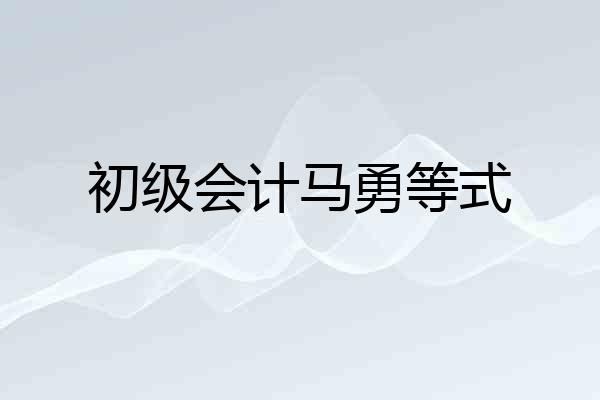 初级会计马勇等式