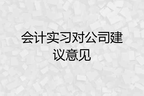会计实习对公司建议意见