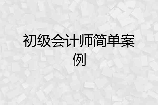 初级会计师简单案例