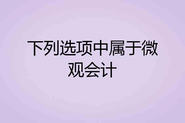 下列选项中属于微观会计