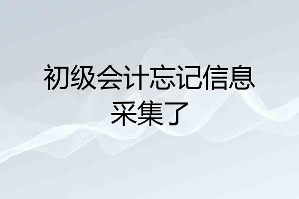 初级会计忘记信息采集了
