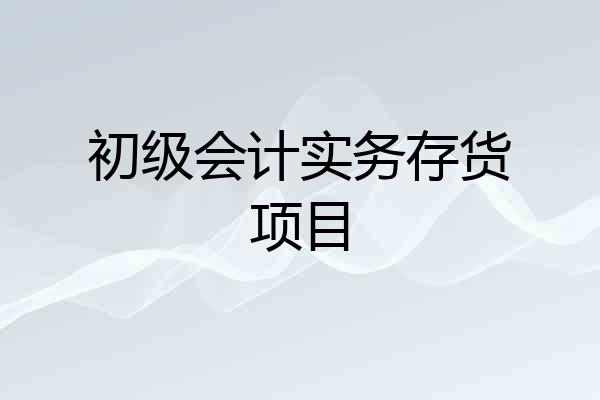 初级会计实务存货项目
