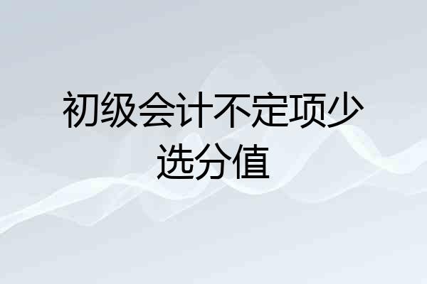 初级会计不定项少选分值