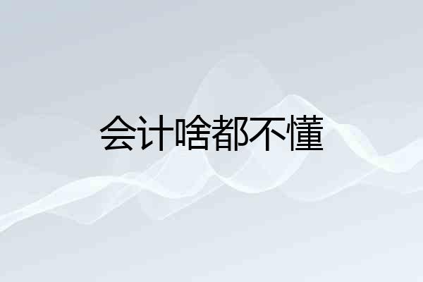 会计啥都不懂