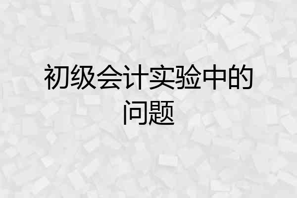 初级会计实验中的问题