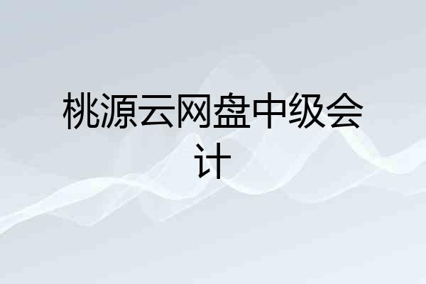 桃源云网盘中级会计